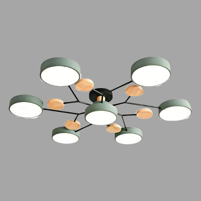 LED Ceiling Light With Organic Shape For Living And Dining Areas