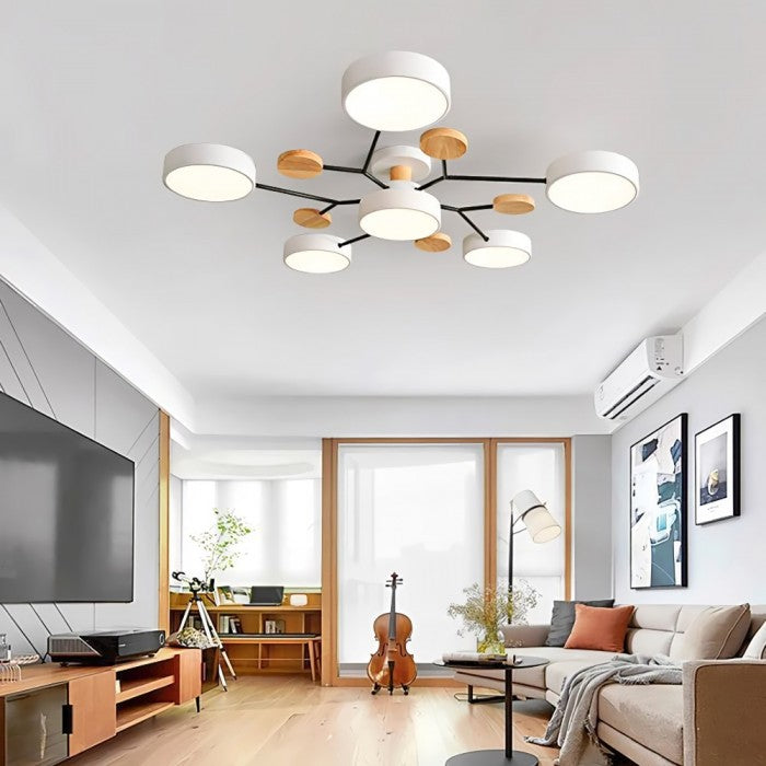 LED Ceiling Light With Organic Shape For Living And Dining Areas