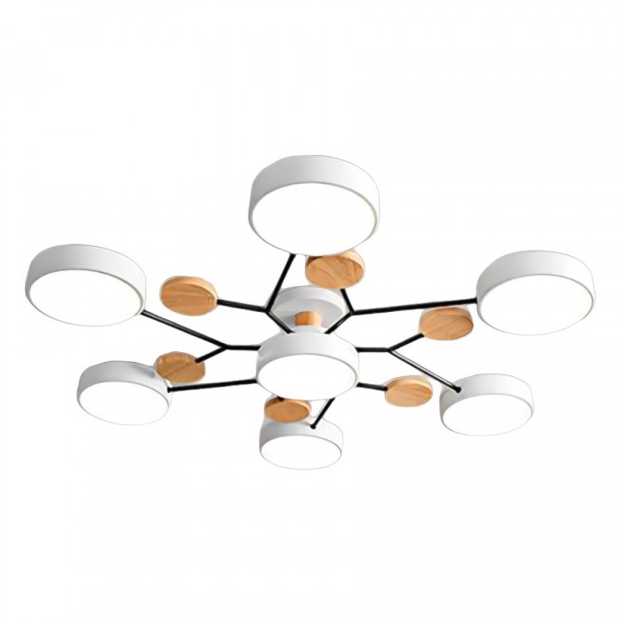 LED Ceiling Light With Organic Shape For Living And Dining Areas